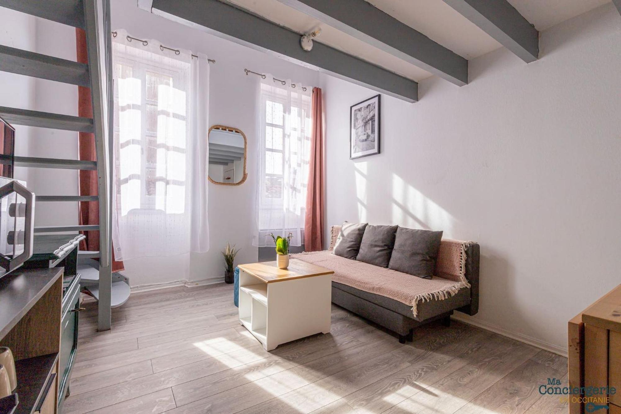 Duplex Champetre : Gare, Marche, Hypercentre Apartment Toulouse Exterior photo