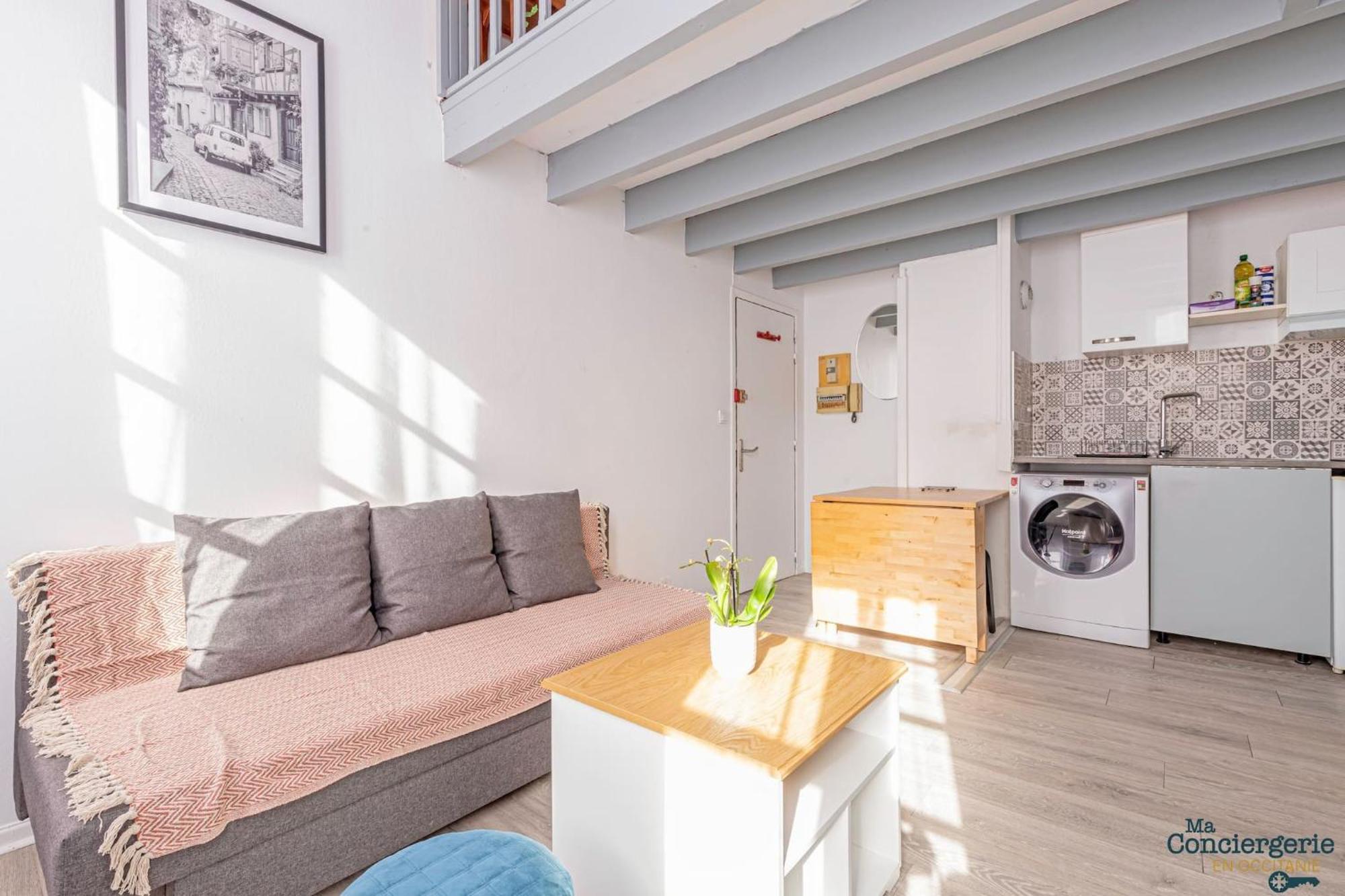 Duplex Champetre : Gare, Marche, Hypercentre Apartment Toulouse Exterior photo